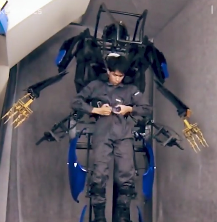 Exoskeleton skeletronics