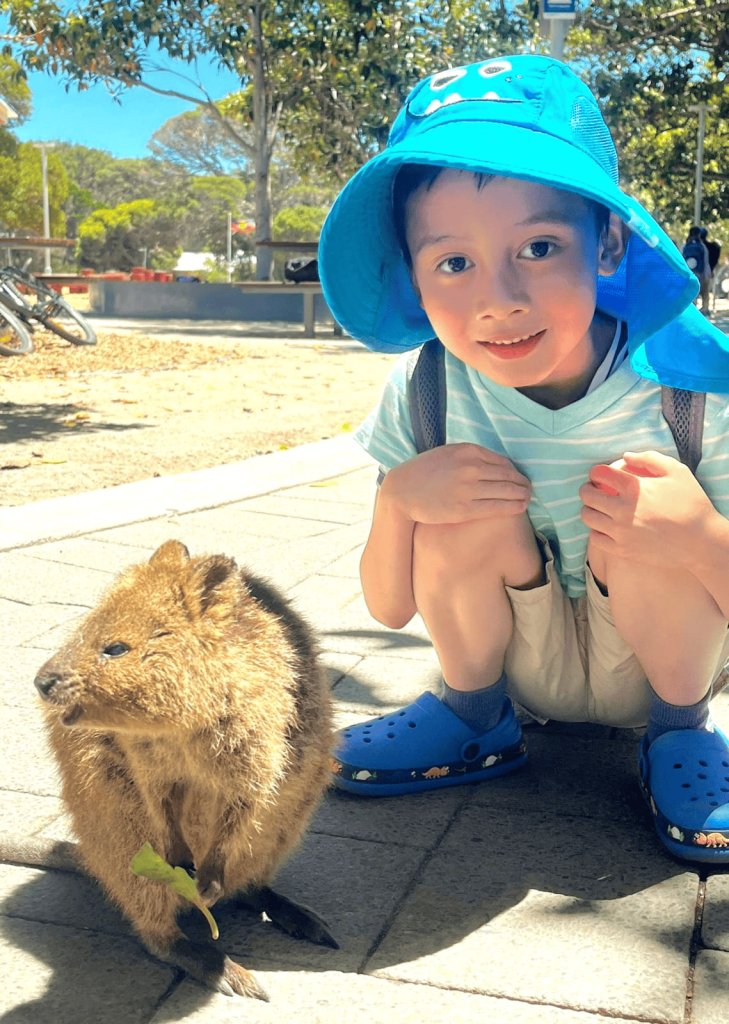 Quokka Selfie 01