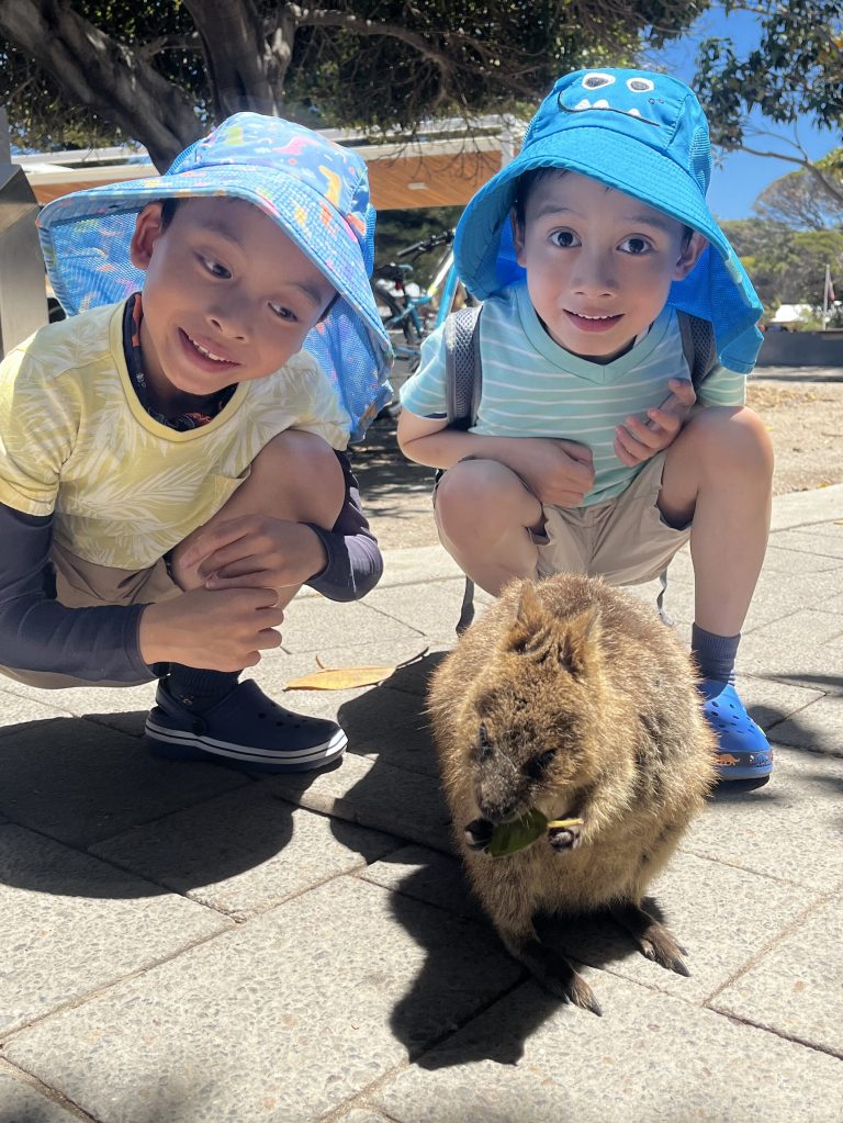 Quokka Selfie 01